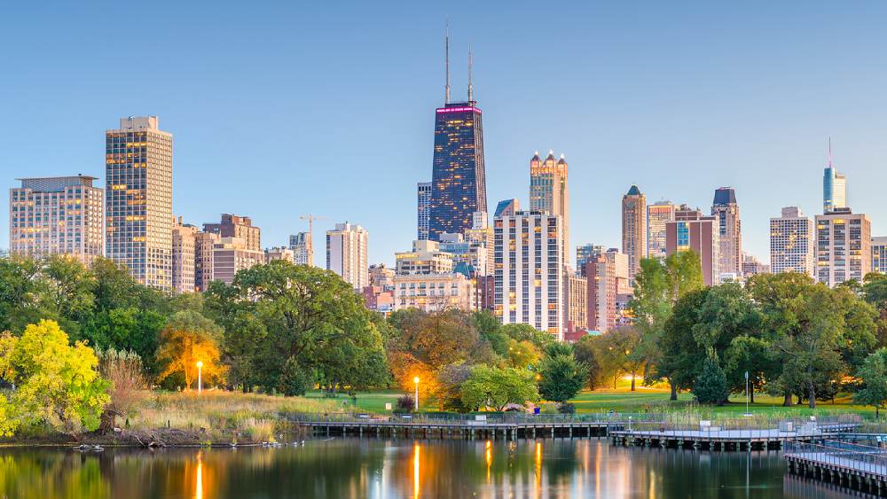 Chicago Il - Apartments in Lincoln Park  5 Things You Must Know